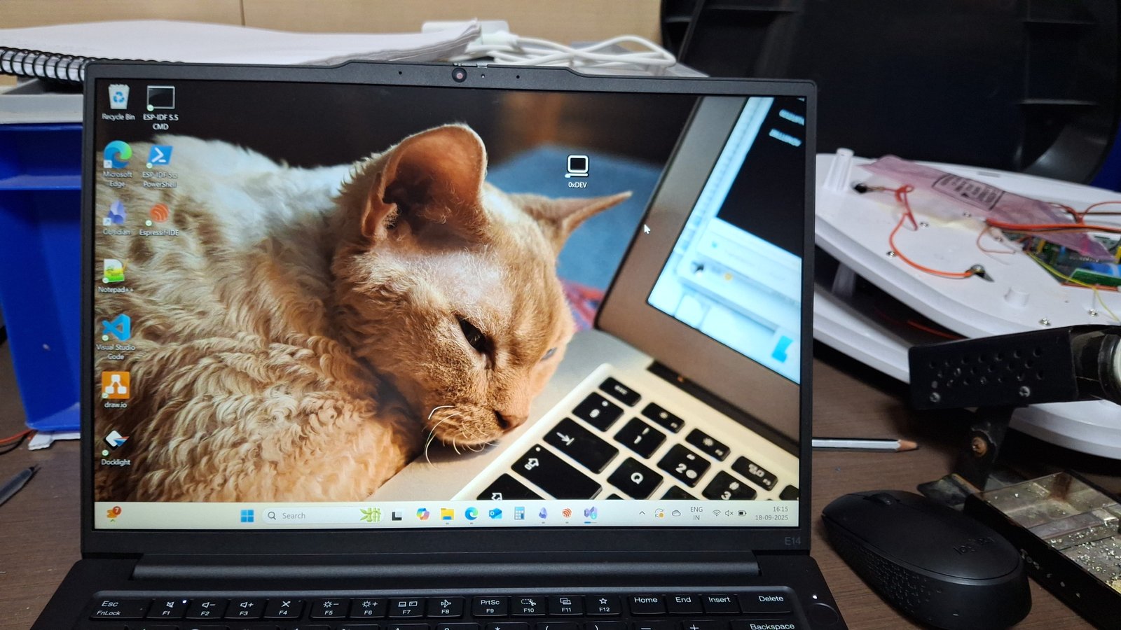 The Cat Took Over My Desktop